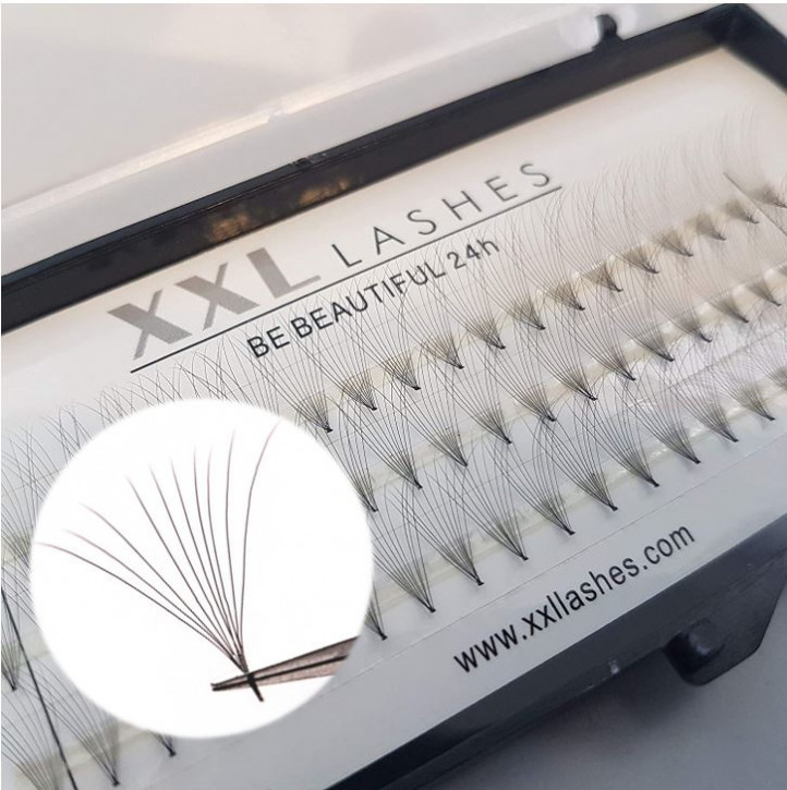 60 Lashes Premade Fans 10D | C-Curl | 0,05mm thin | knot-free 10mm