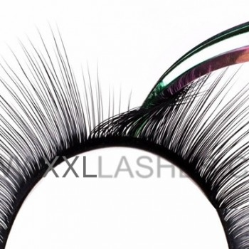 Camelia Mink Lashes, Innovation for Russian Volume 3D-6D / C-Curl-8-10-12