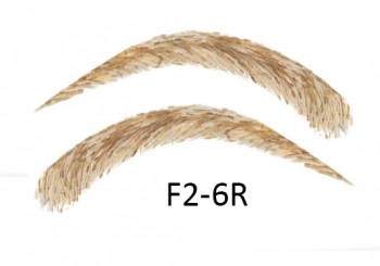 Eyebrow Wigs, False Brows, F2-6R
