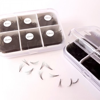 A Selection of 1200 Flare Lashes in a Box | C-Curl | 6D-8D