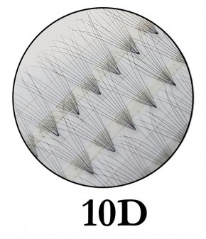 10D Premade Fans, 60 pcs knot-free, C-curl, 0,05mm thin