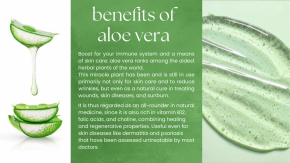 Aloe Vera Gel 390 ml, 100 % natural