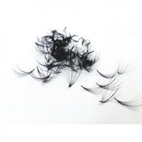 500 Premade Fans for Eyelash Extensions, 10D, knot-free | 0.05mm thin | C-Curl
